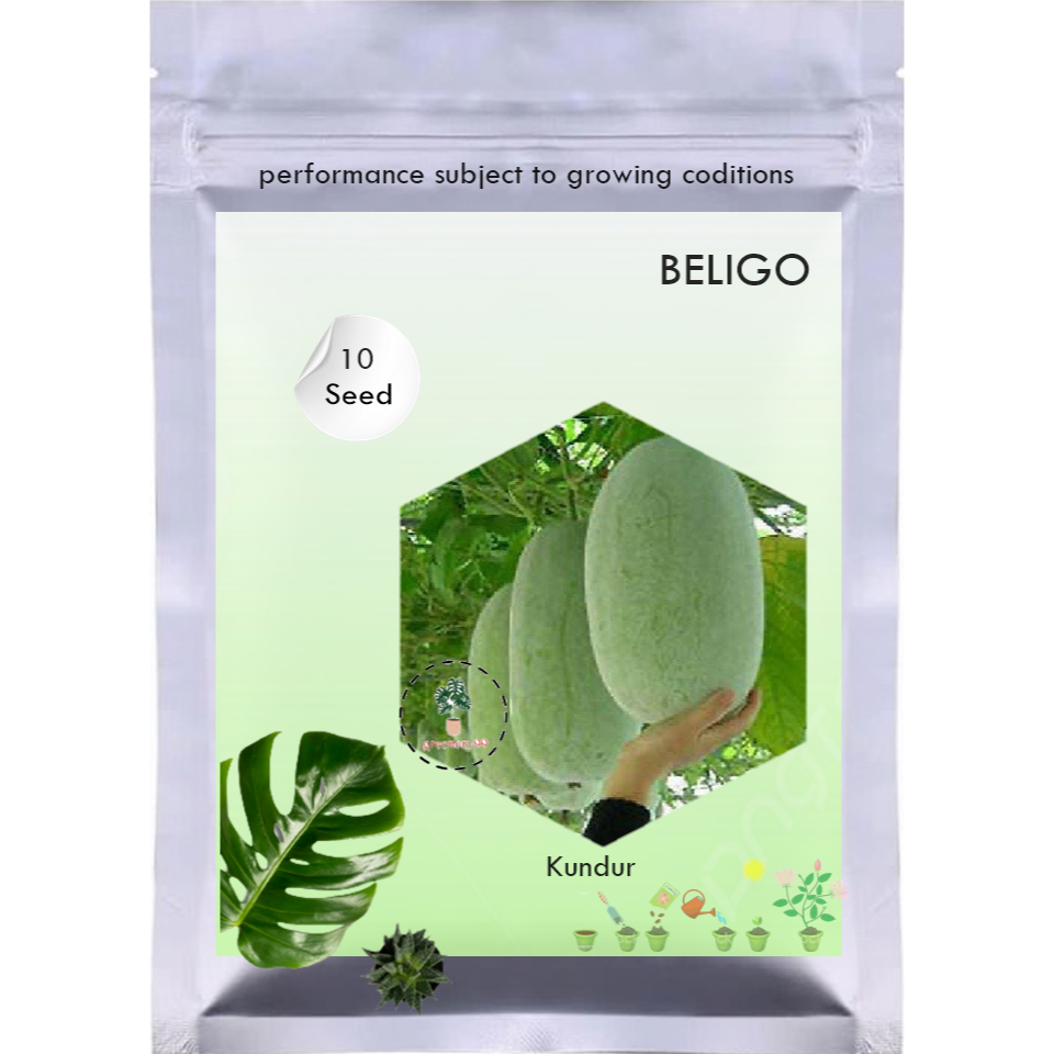 10Benih MELON BELIGO Kundur Biji Buah