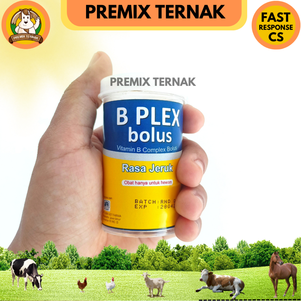 USFA B PLEX BOLUS 1 POT (3 Bolus) - Vitamin B complex Hewan Bolus - Like Vita B Plex dan Pro B Plek