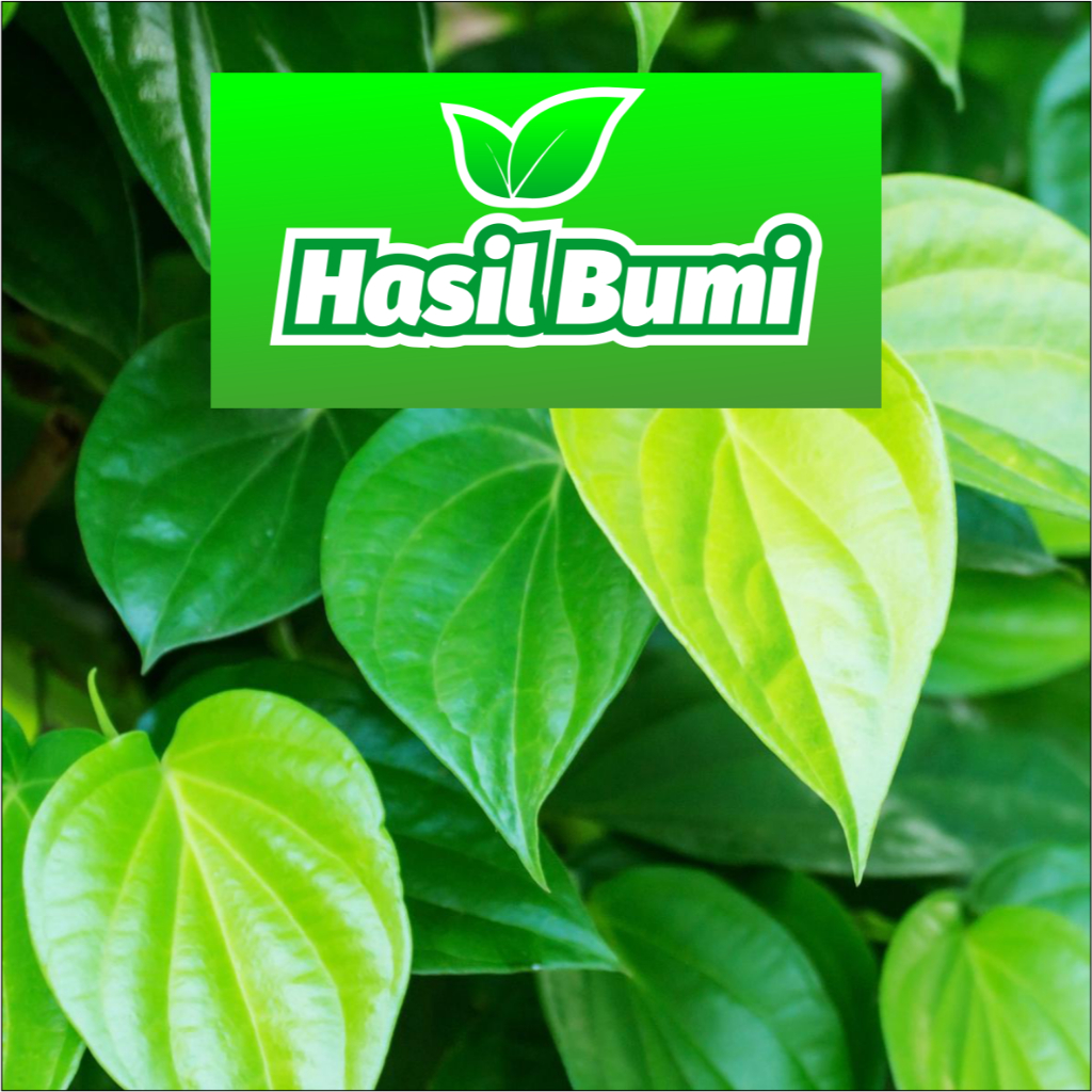 

DAUN SIRIH SEGAR SEGAR MURAH!!!