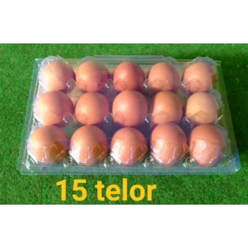 Telur ayam isi 15 1kg