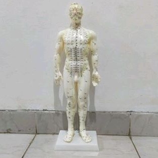 PATUNG AKUPUNTUR MODEL PRIA / BONEKA TITIK TITIK AKUPUNTUR