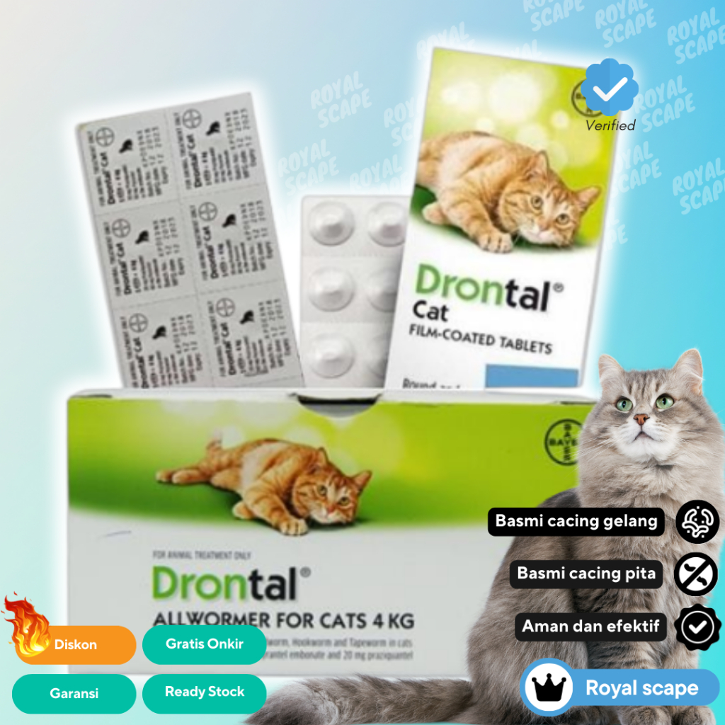 DRONTAL CAT KUCING - Obat Cacing Hewan Kucing Cat Kitten