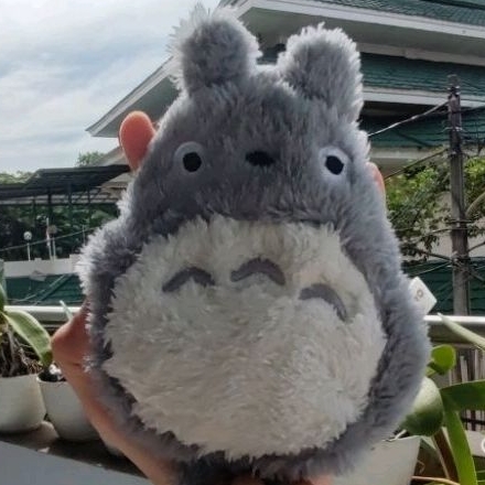 Dompet Totoro Pouch Purse Defect