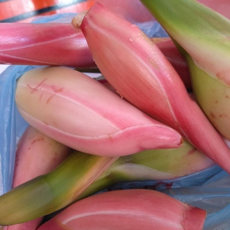 

Bunga Kecombrang/Kincung 1kg