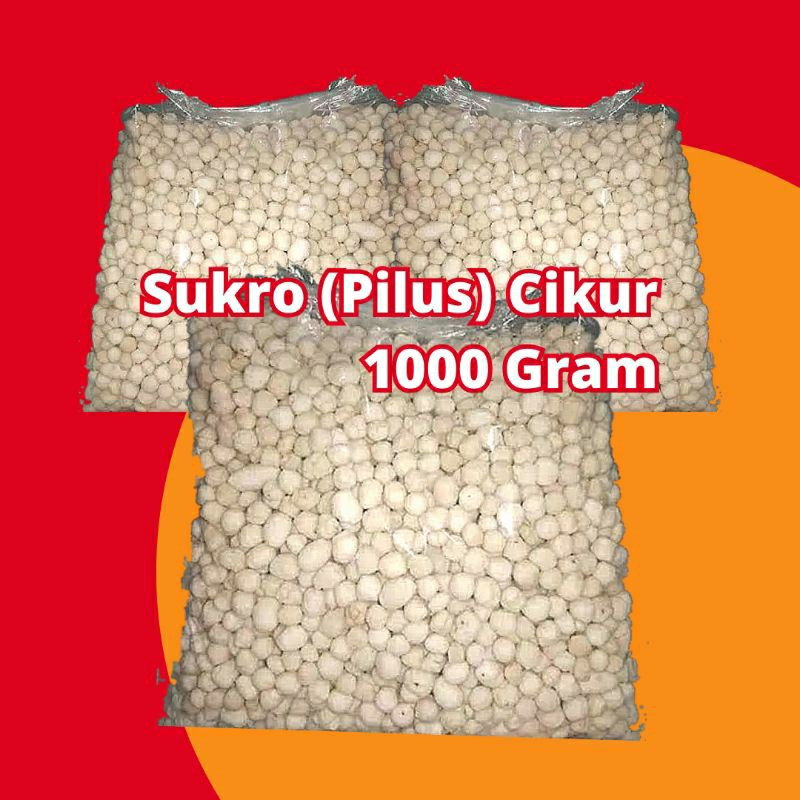 

Sukro Cikur 1000gr 1kg Sekilo Pilus Cikur Toping Baso Aci