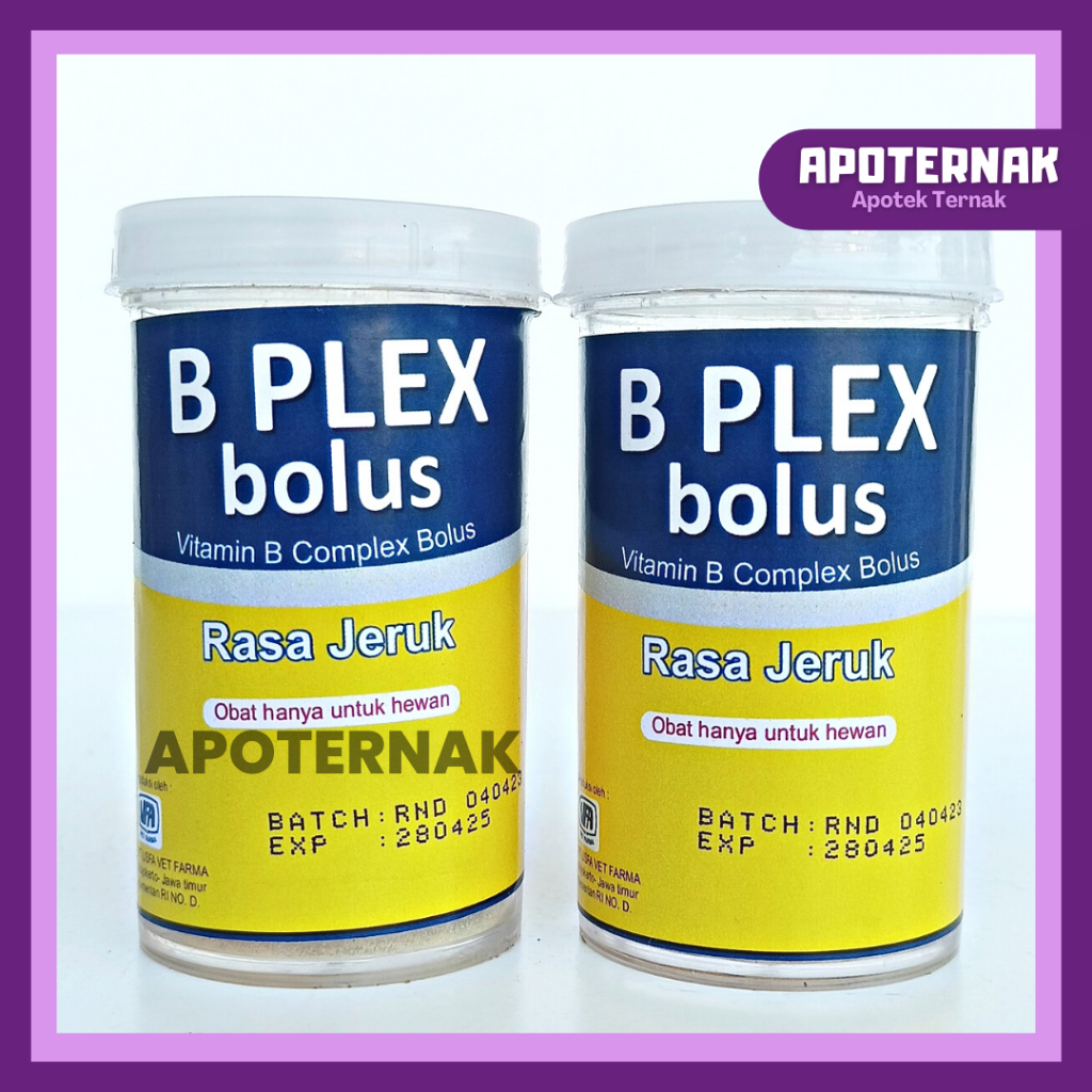 USFA B PLEX BOLUS 1 POT (3 Bolus) | Vitamin B complex Hewan Bolus Rasa Jeruk