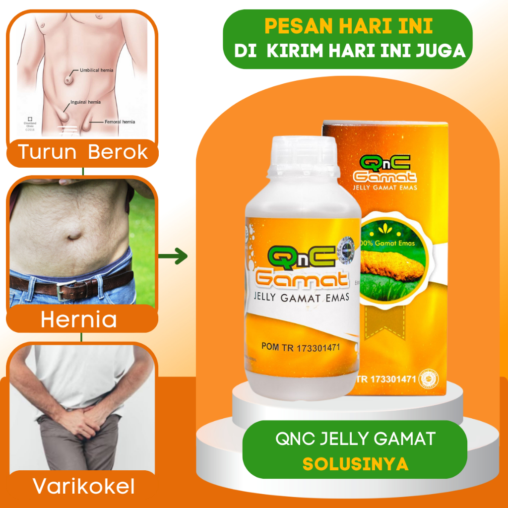 Qnc Jelly Gamat Herbal Alami Tradisional Obat Hernia Testis Bengkak | Obat Turun Berok | Obat Hernia