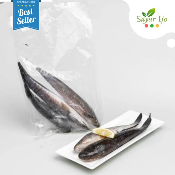 

Ikan Gabus Air Tawar 450 - 500 Gram ( Isi 2-3 Ekor ) Fresh Frozen Seafood Daging Segar