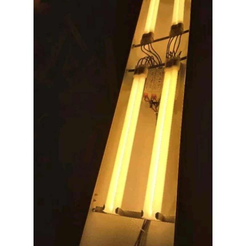 Lampu tanning arwana 4 pll 827/865 poland