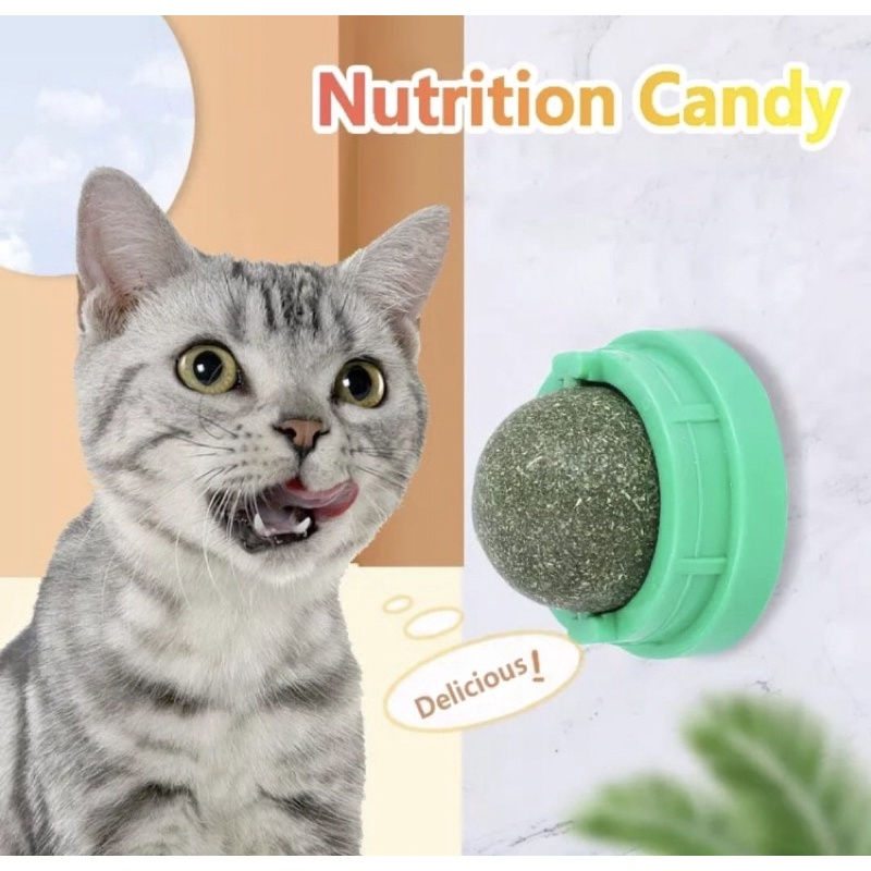 Mainan Kucing Bola Catnip Rotating Catnip Ball