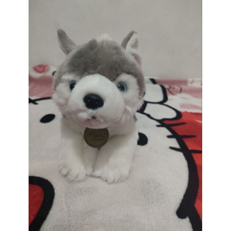 Boneka Hewan Lucu