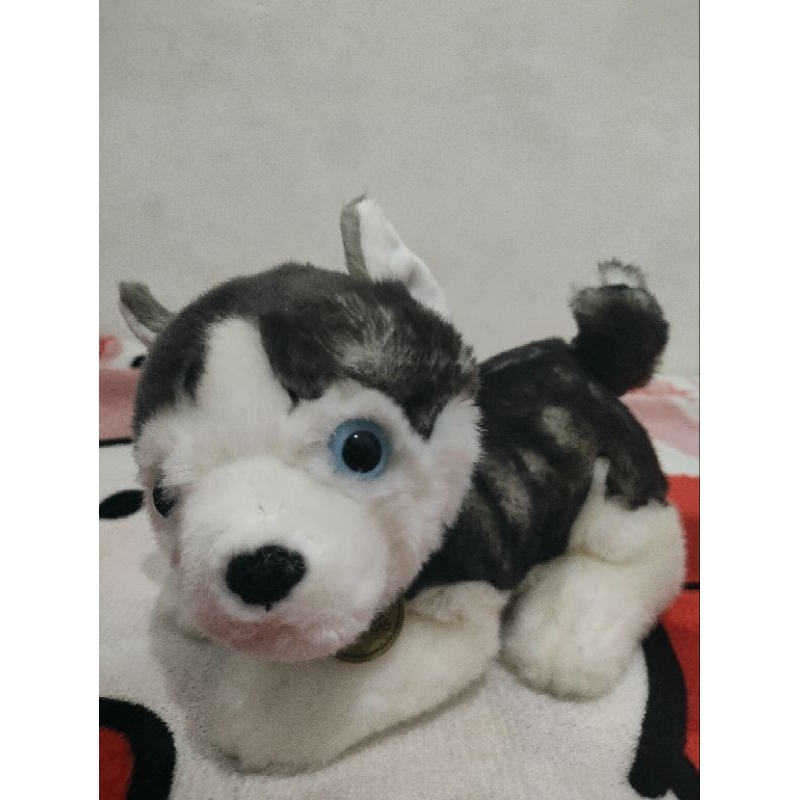 Boneka hewan lucu