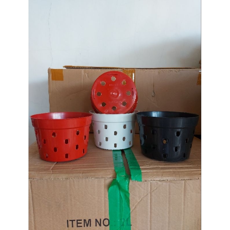 Pot Dendro 15 cm Pot Anggrek Pot Lubang Banyak harga GROSIR