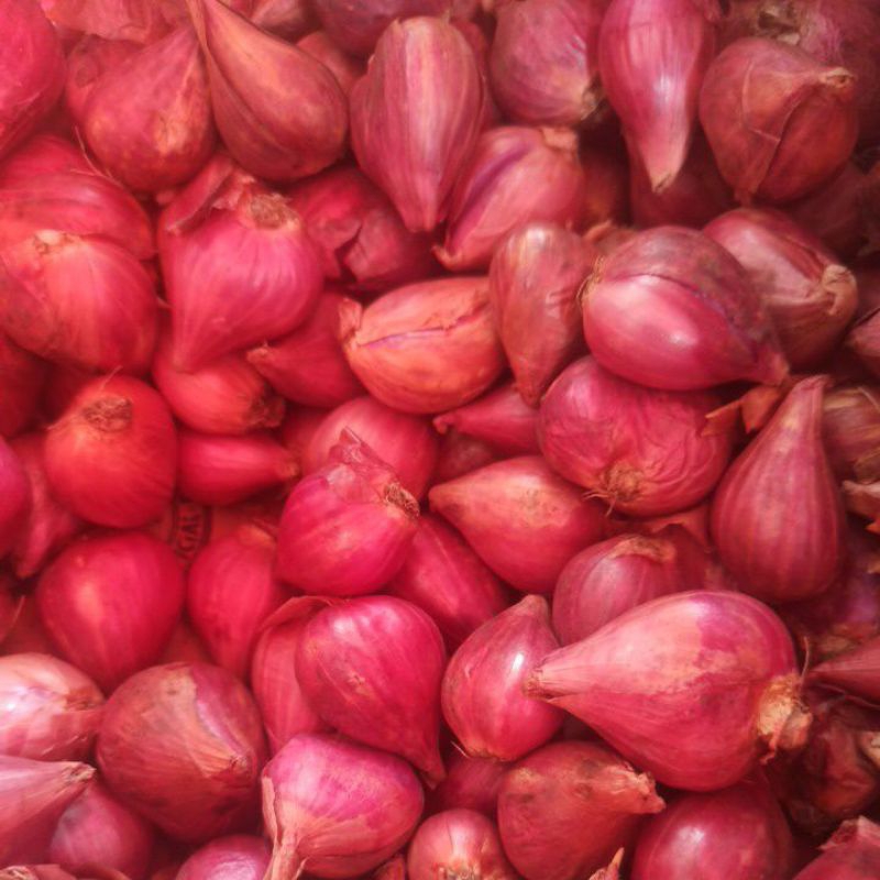

Bawang Merah Brebes 1000gram 1kg