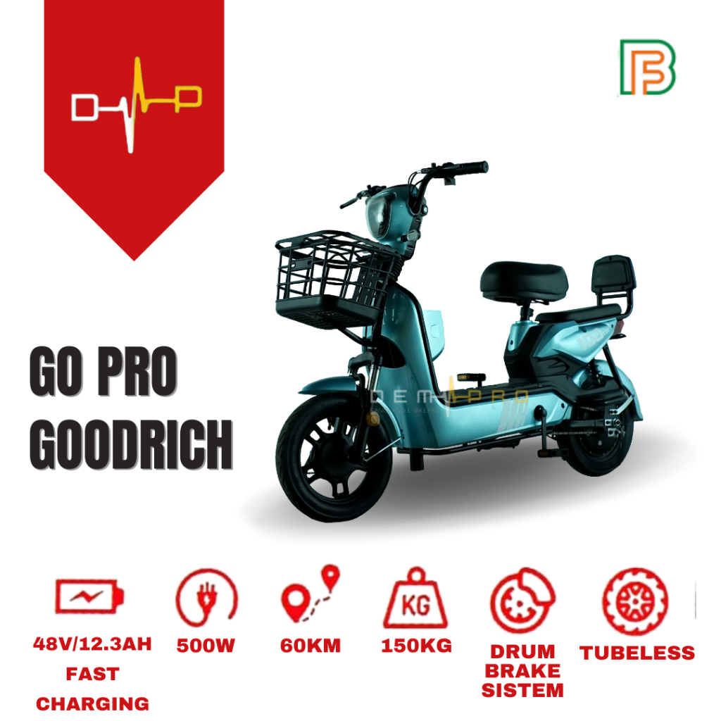 Go Pro by Goodrich Graphene Battery 48V 13.3AH || 500watt