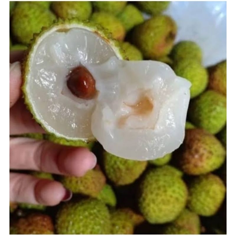 

BUAH LECI MADU LECI HIJAU FRESH