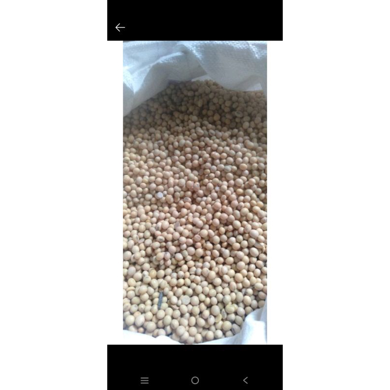

kacang kedelai (500) gr