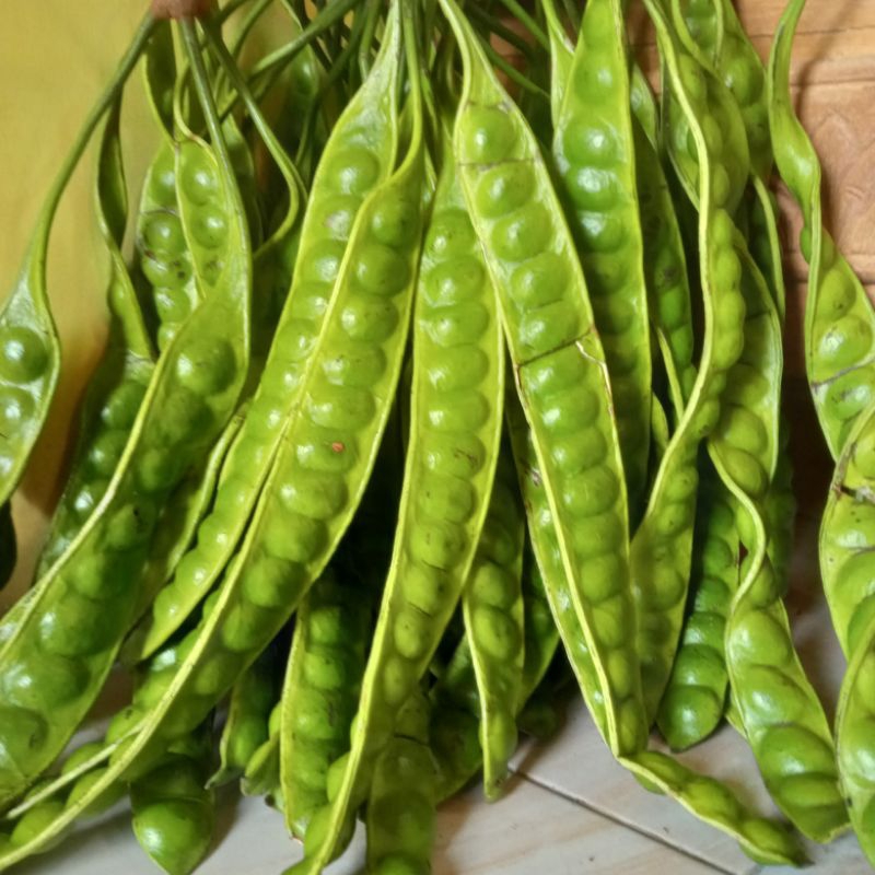 pete super segar termurah