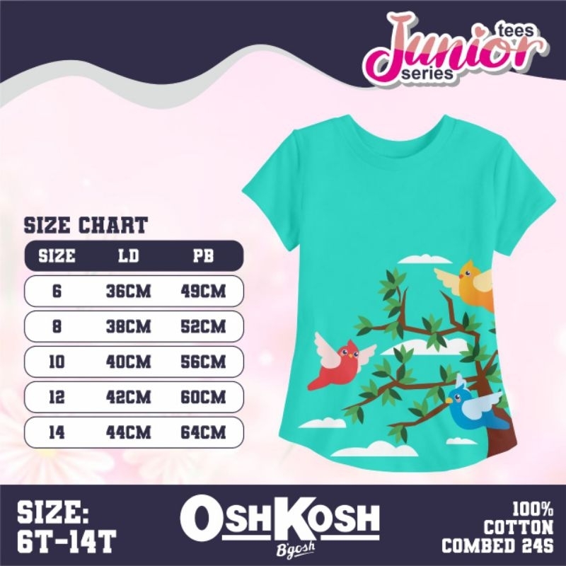 Kaos Anak Perempuan 6-14