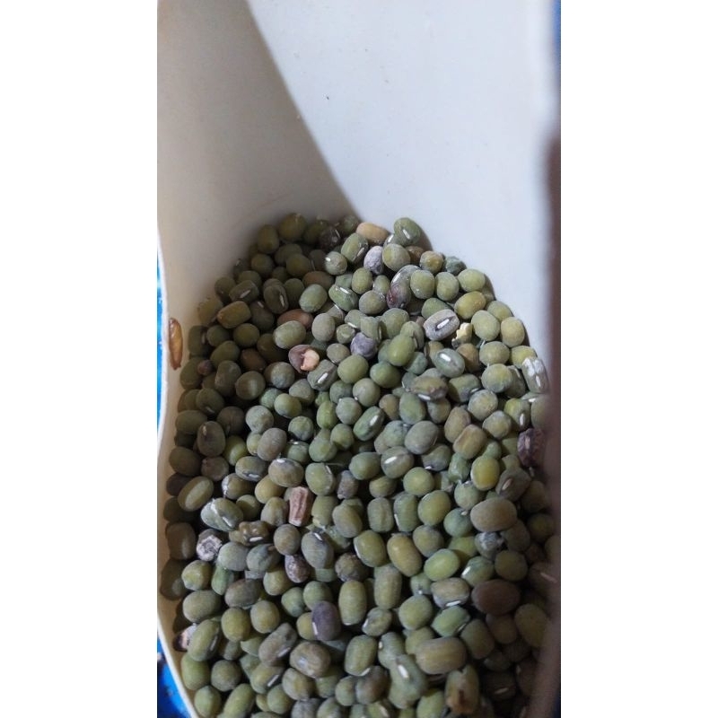 

Kacang Hijau Kualitas Terbaik per 250 gr