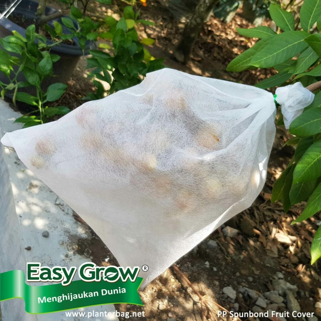 EASY GROW - fruit cover size XXL (45 x 50 cm) - pembungkus buah - brongsong buah