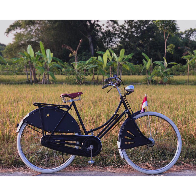 Sepeda Onthel Ontel The Raleigh Klasik Vintage