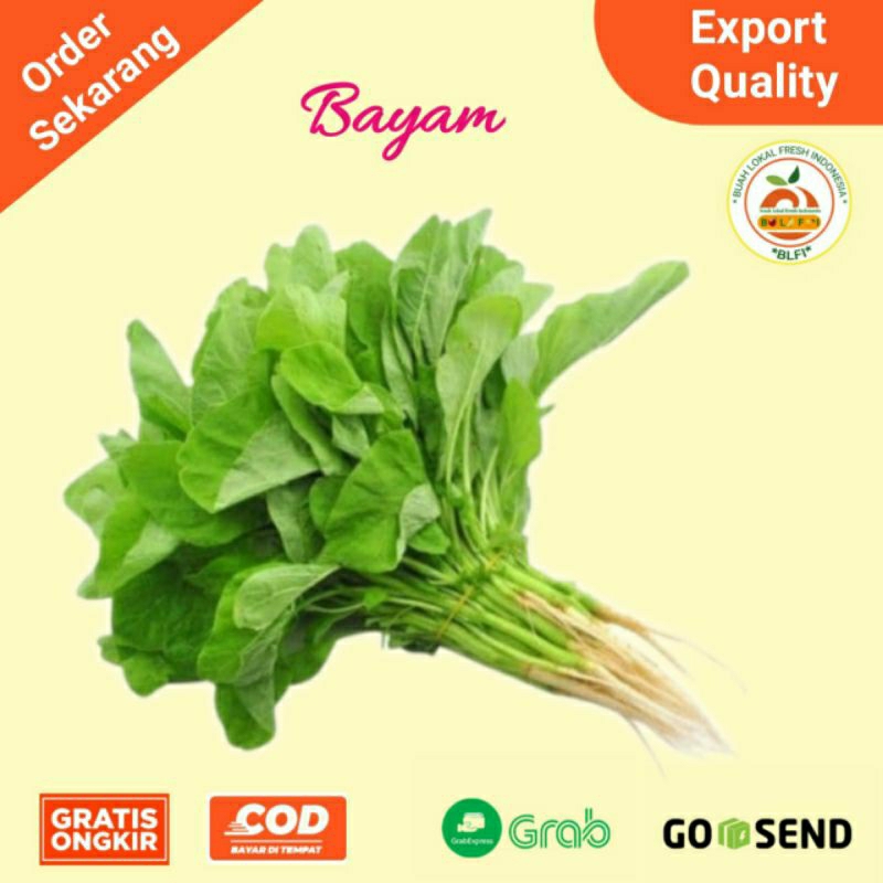 

SAYUR BAYAM 1IKAT ( 100-150gram)