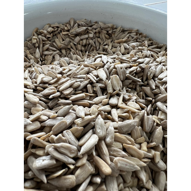 

SUNFLOWER SEED PREMIUM QUALITY MENTAH