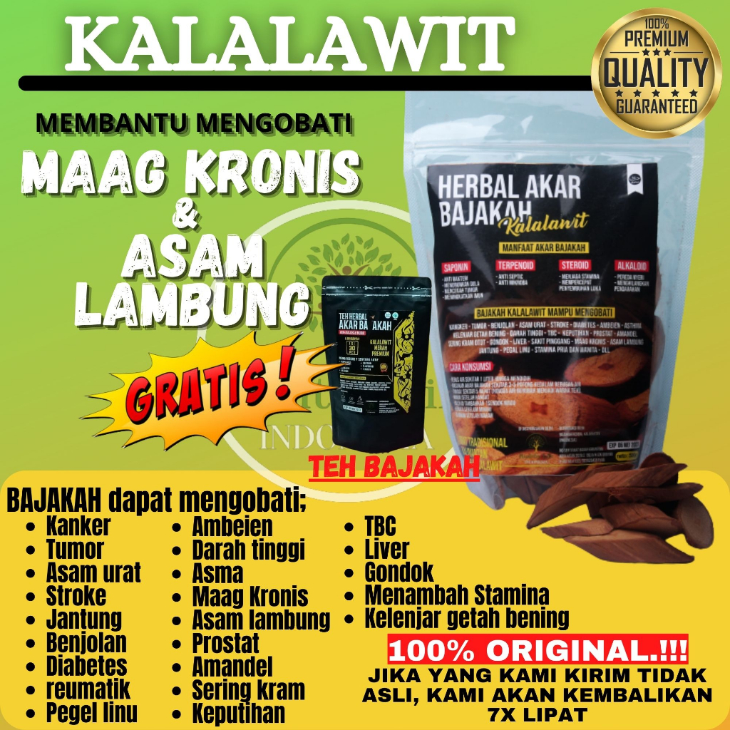 Akar Bajakah Asli Kalimantan Kayu Bajakah Kalalawit Akar Kuning Tampala Obat Herbal Asam Lambung Oba