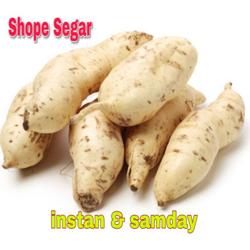 

Ubi Kuning Ubi Putih Lokal Fresh KIRIM INSTAN & SAMDAY