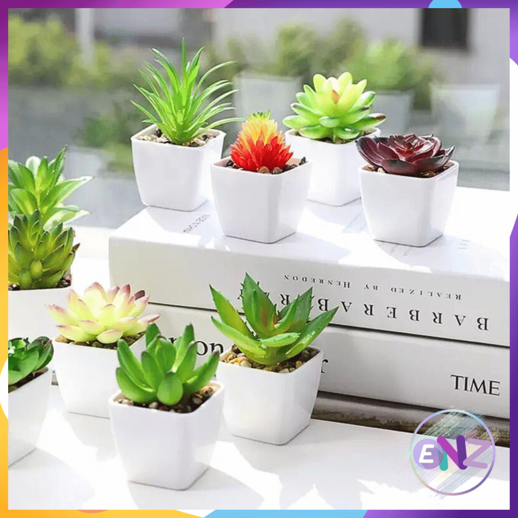 ENZ ® Tanaman Mini Imitasi Dengan Pot Succulent untuk Dekorasi Rumah 1059
