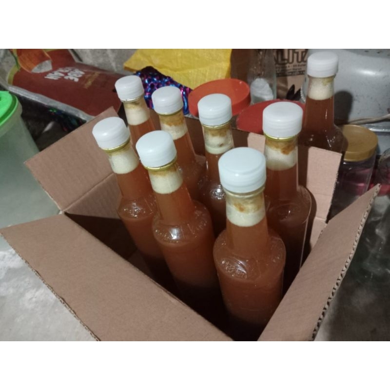 

TRIGONA ASLI RONGKONG SULAWESI LEBAH ENDEMIK SULAWESI
