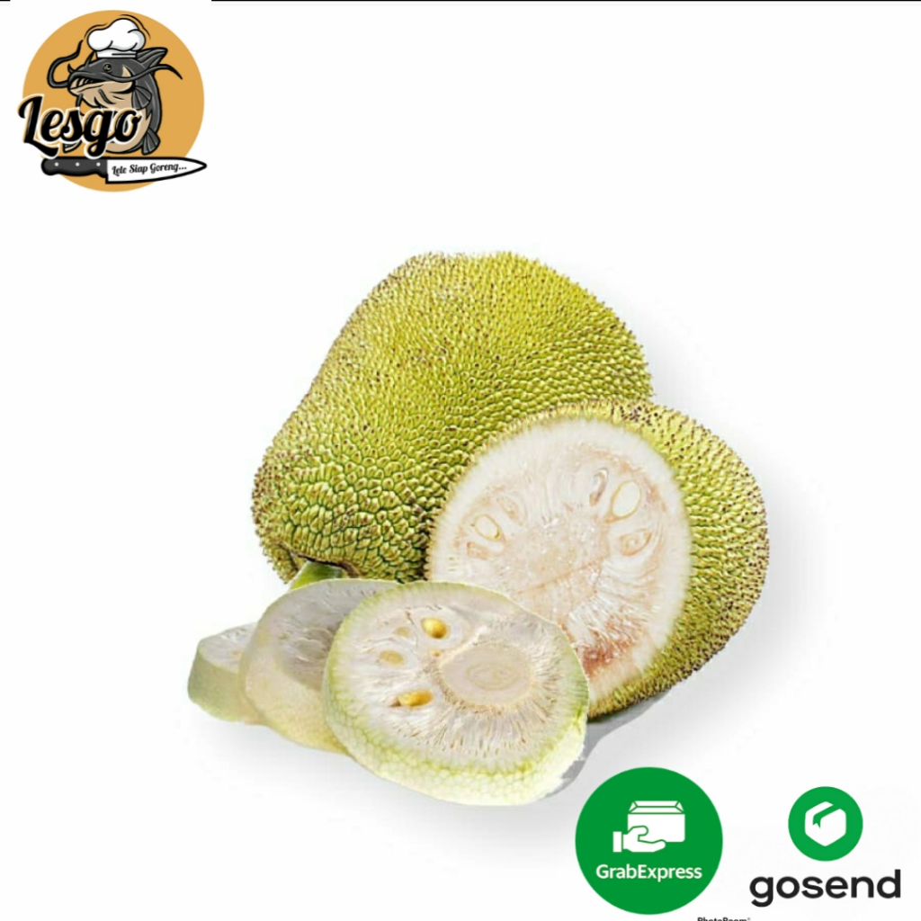 

Nangka Muda - [500gr] Sayuran Segar Lesgo99