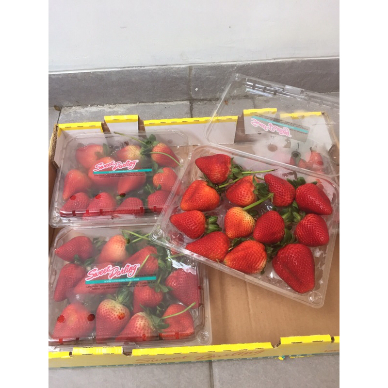 

Strawberry Sweet Darling USA 1 Dus (Isi : 4 Pack) Fresh Import