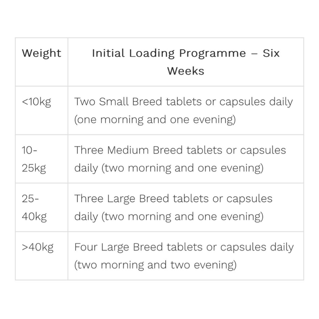 SYNOQUIN SMALL BREED TABLETS / SUPLEMEN OTOT DAN SENDI UNTUK ANJING KECIL (HARGA PER TABLET)