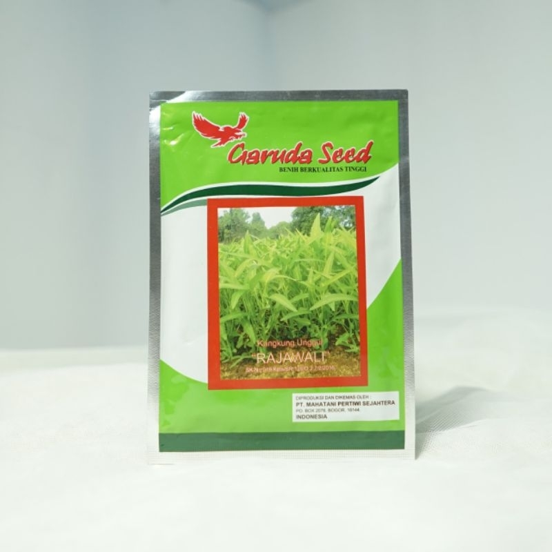 Benih Kangkung Rajawali 50 gram