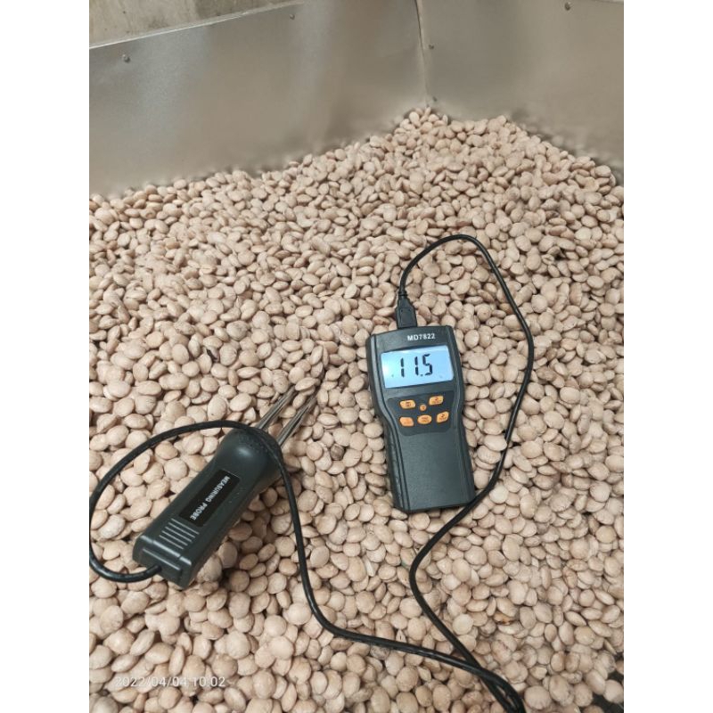 Brilliantblossoms_ Kacang/Biji Sacha Inchi Kupas Mentah 1Kg