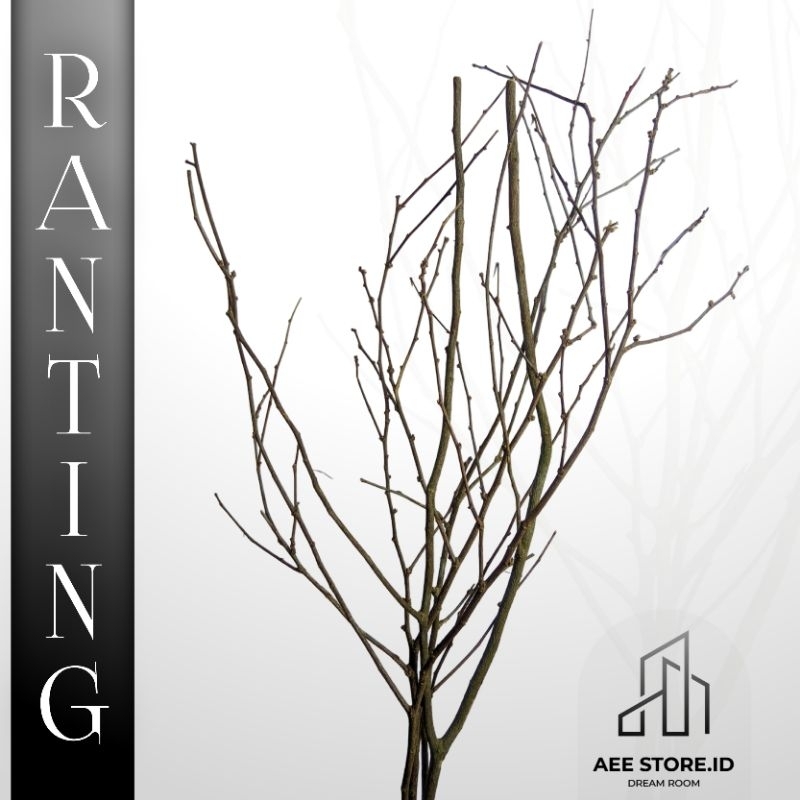 Ranting Kayu 3 varian, ranting kayu kerajinan