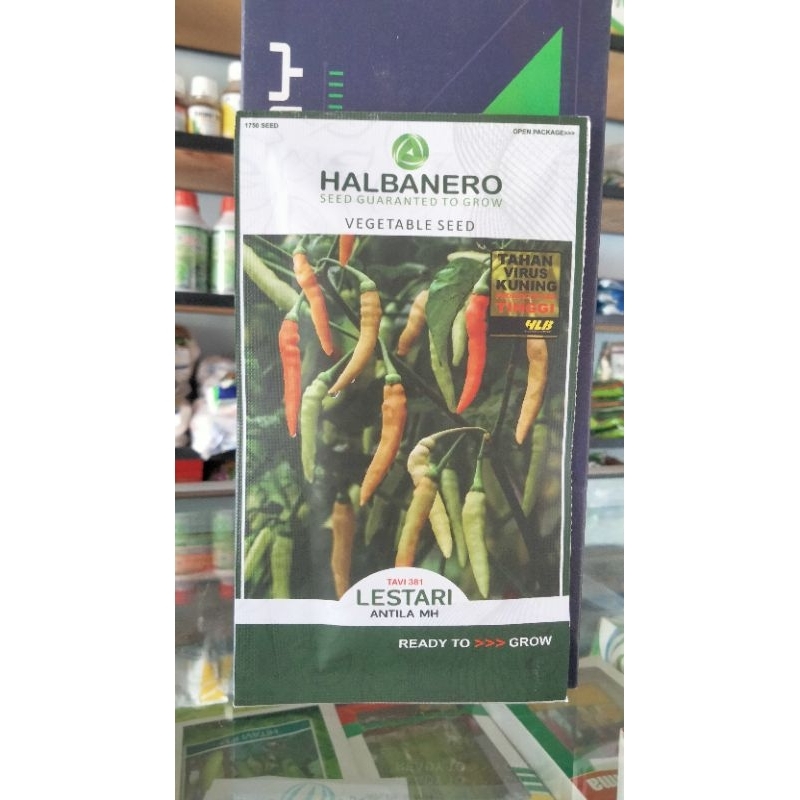 LESTARI Benih Cabai Rawit
