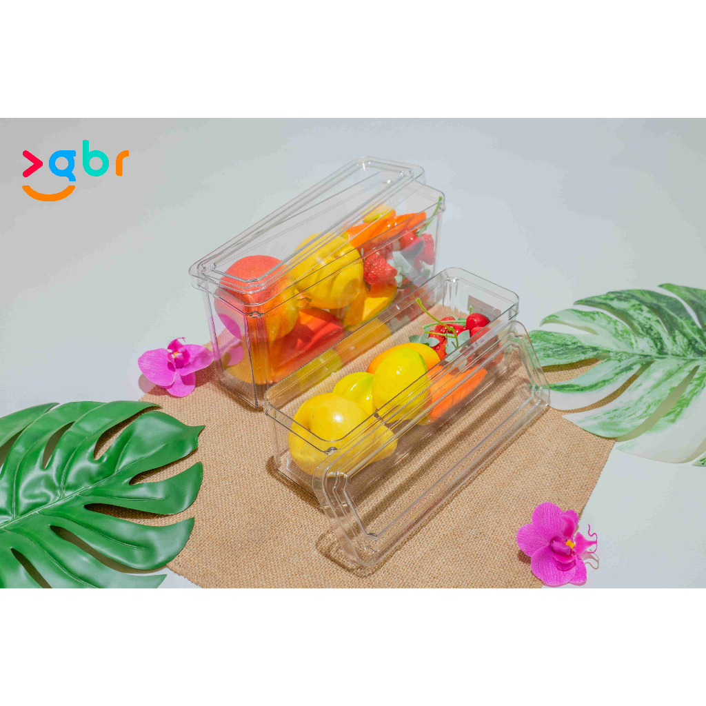 Fridge Storage Box HOV