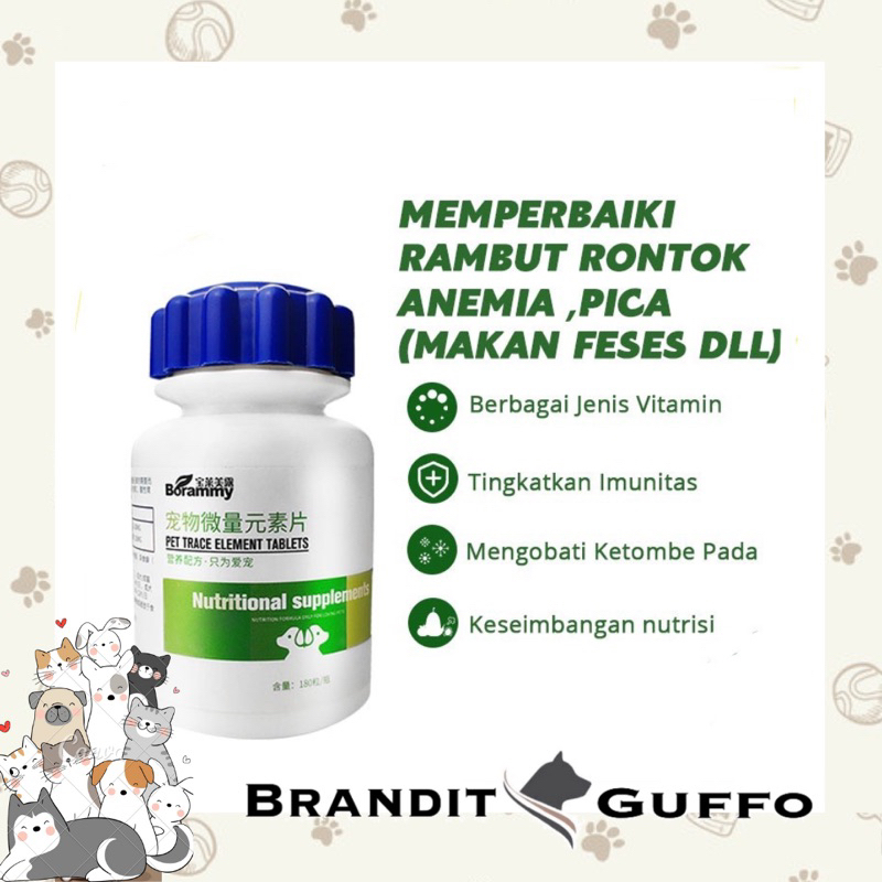 Trace element vitamin imunitas anjing kucing anemia makan feses rontok