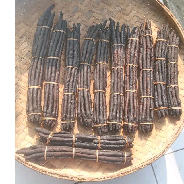 

Cacing Sonari Kering Obat Tipus Dan Demam Per 1 ikat ukuran Sedang