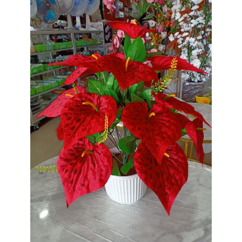 Bunga Meja Lompong Calla Lily 18 Kuntum Murah / Bunga Murah / Bunga Meja Murah