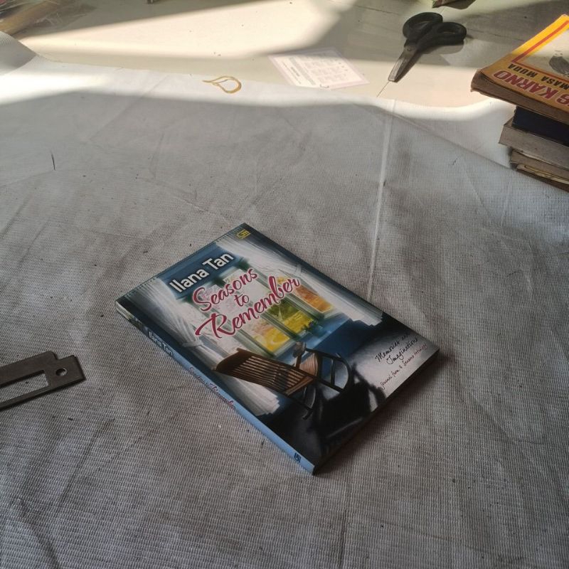 novel ilana tan SEASONS TO REMEMBER