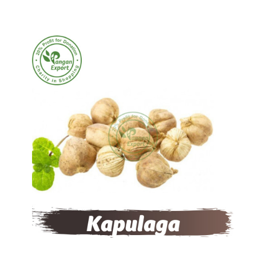 

Kapulaga Cardamom Premium / Buah Bumbu Sayur Masak by Pangan Export