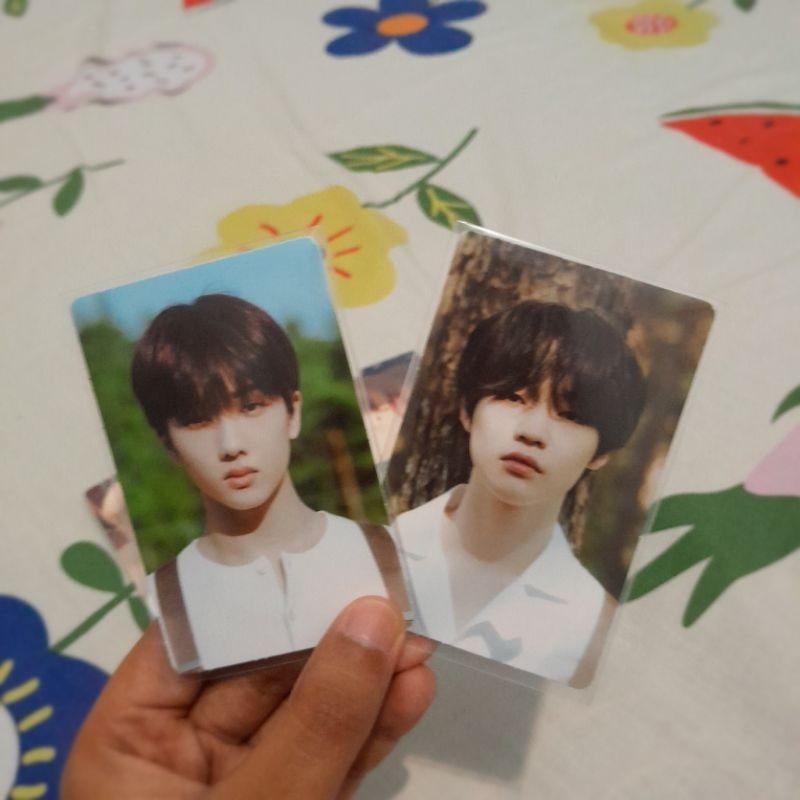 Wts Official Jisung Jaemin Chenle Dad Sanrio TC SG22