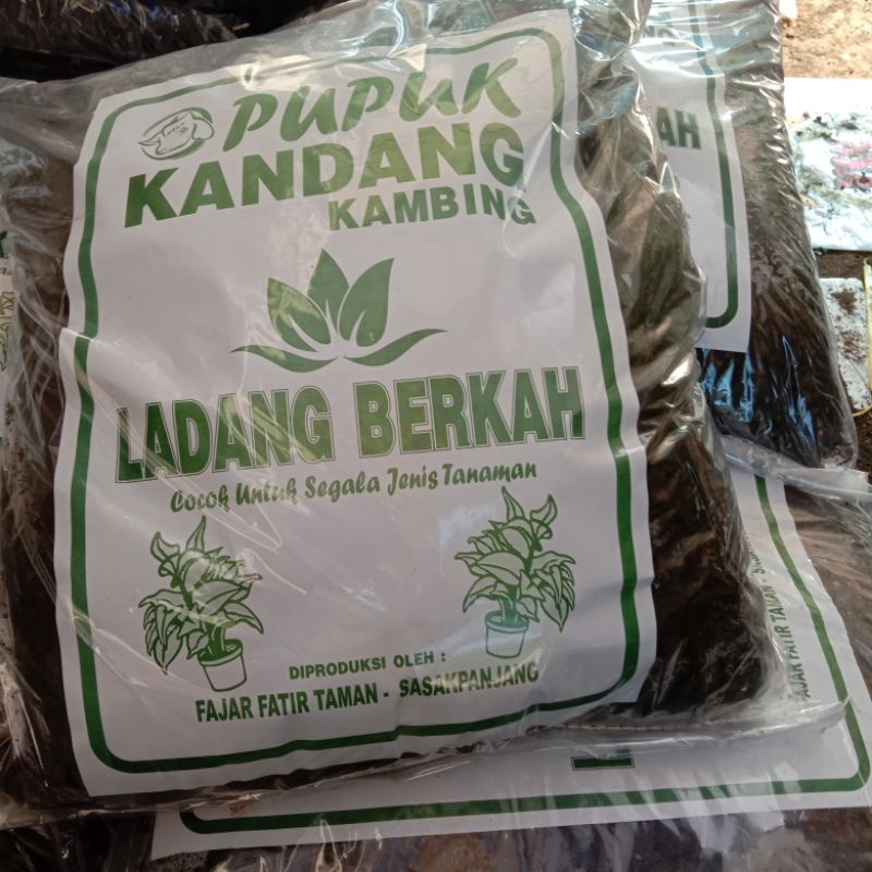 pupuk kandang kambing pupuk kambing