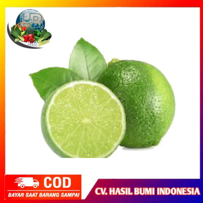 

Jeruk nipis asli / jeruk nipis fresh / untuk vitamin C / jeruk nipis Murah segar