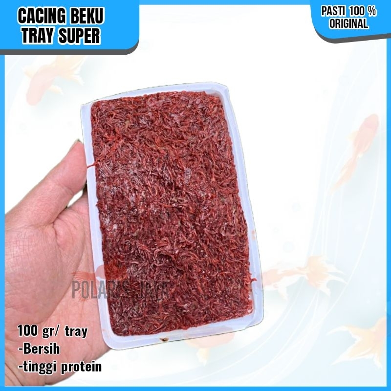 CACING BEKU CACING DARAH CABEK BLOODWORM TRAY 1KG