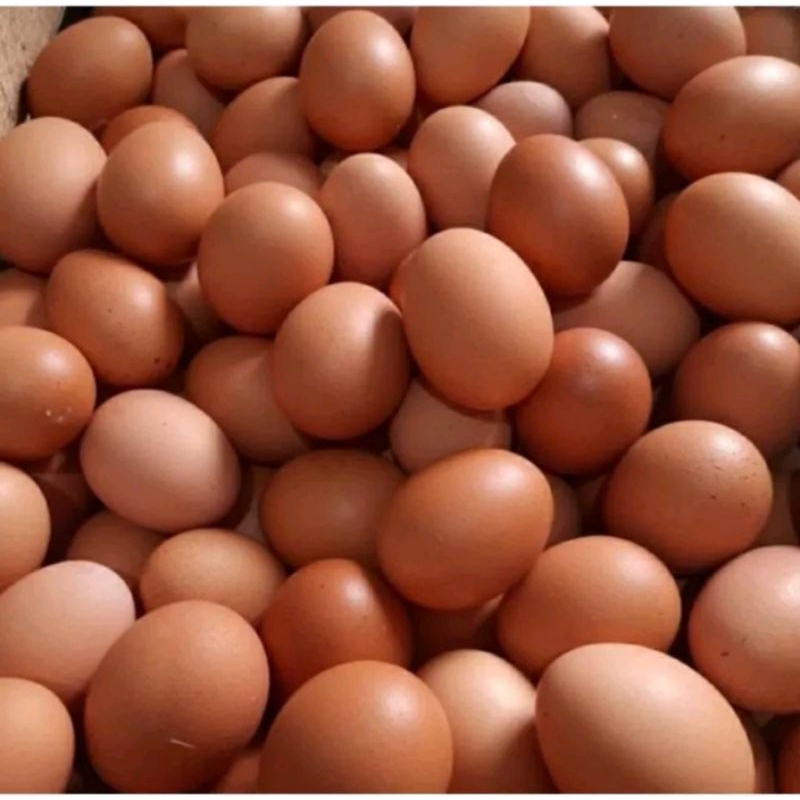 

telur ayam 1papan dan 1/2papan